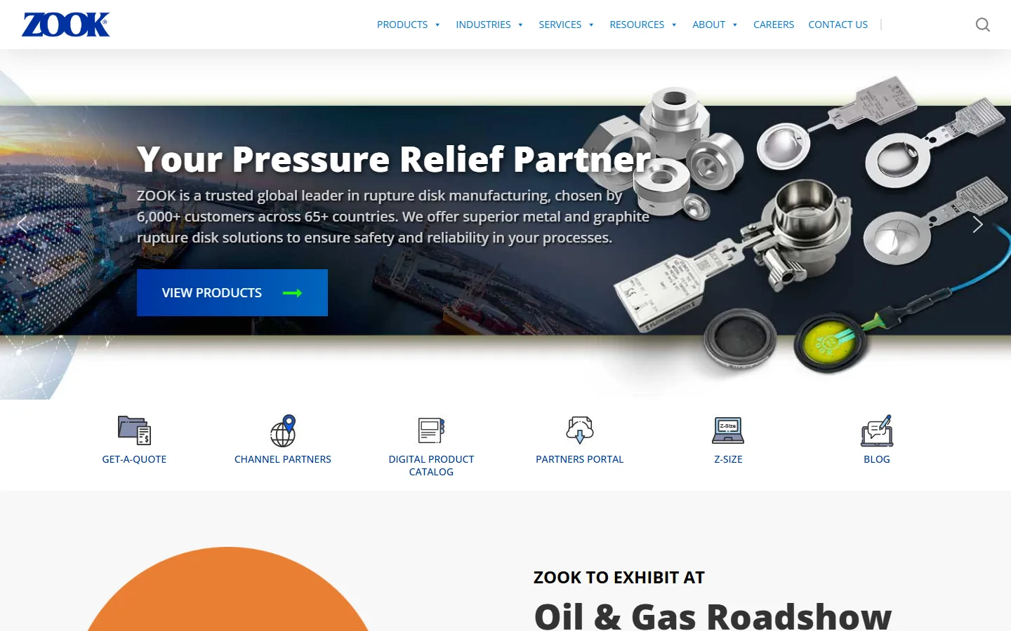 Zook Disk website screenshot